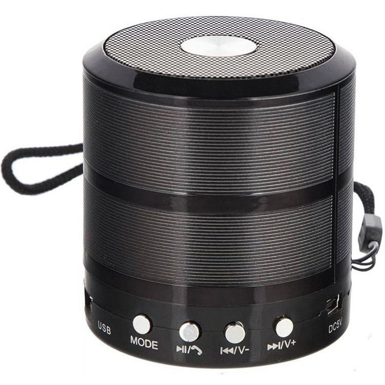 اسپیکر وستر WS887 Mini دارای نور rgb