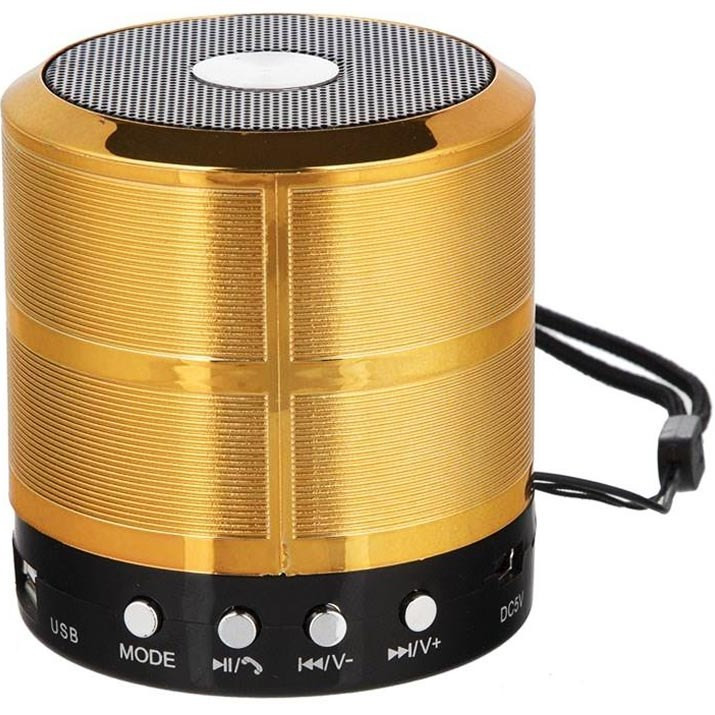 اسپیکر وستر WS887 Mini دارای نور rgb